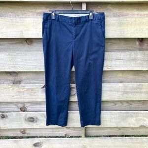 Banana Republic Hampton Cropped Ankle Pants Size 10